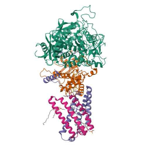 RCSB PDB - 1ZOY: Crystal Structure of Mitochondrial Respiratory Complex ...