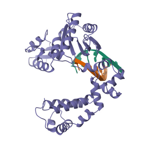 RCSB PDB - 1ZQE: DNA POLYMERASE BETA (POL B) (E.C.2.7.7.7) COMPLEXED ...