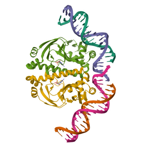RCSB PDB - 1ZRD: 4 crystal structures of CAP-DNA with all base-pair ...