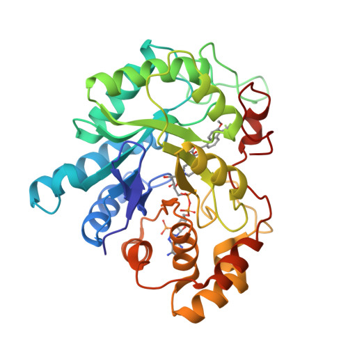 PDB 1ZUA