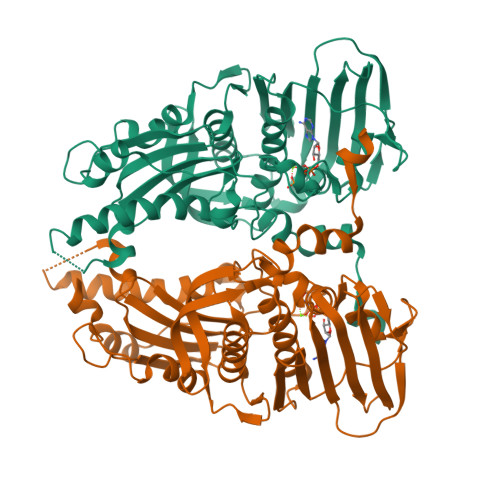 RCSB PDB - 1ZXM: Human Topo IIa ATPase/AMP-PNP