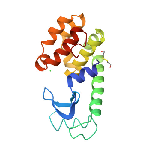 RCSB PDB - 205L: HOW AMINO-ACID INSERTIONS ARE ALLOWED IN AN ALPHA ...