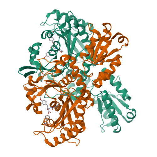 Structure 20XT