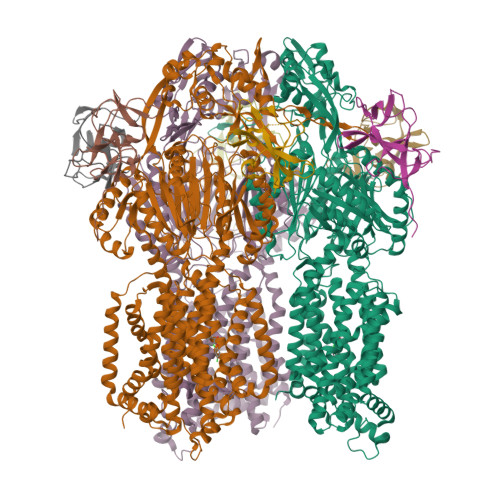 Structure 20YY