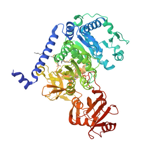 Structure 20ZN