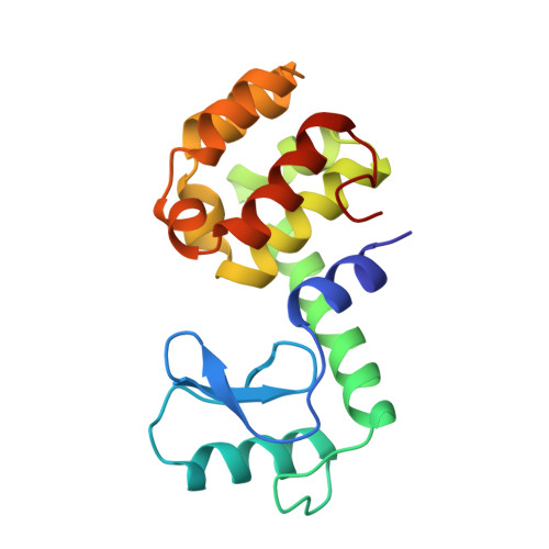 RCSB PDB - 216L: STRUCTURAL BASIS OF ALPHA-HELIX PROPENSITY AT TWO ...