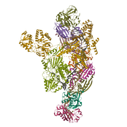 RCSB PDB - 21BH: Cryo-EM structure of type VII CRISPR-Cas complex at ...