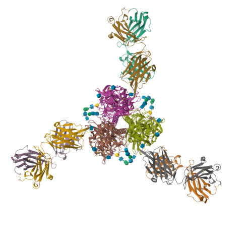Structure 21BO