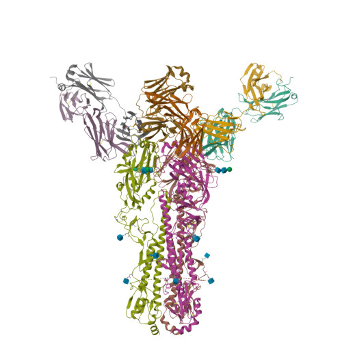 Structure 21BP