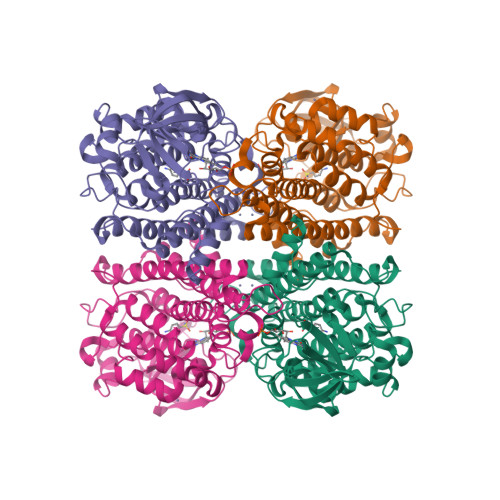 Structure 21CG
