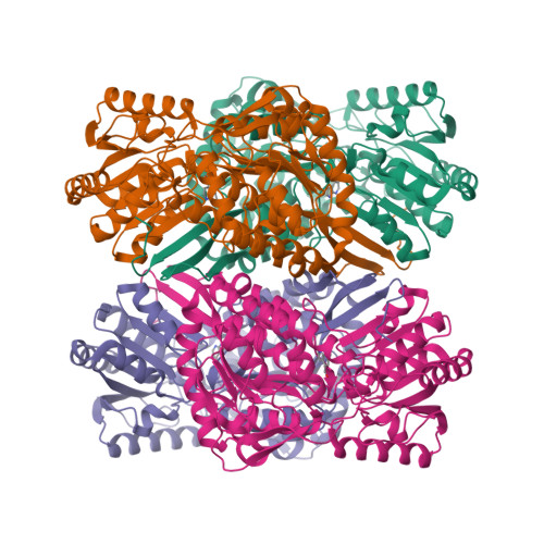 Structure 21CJ