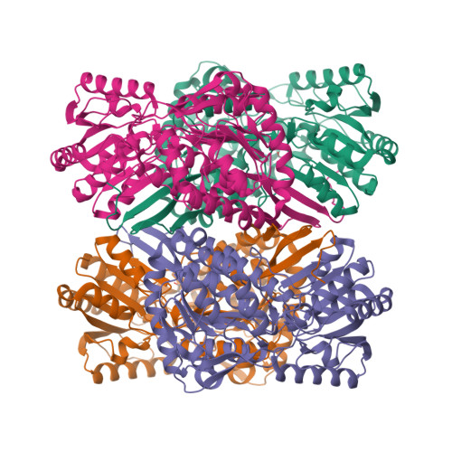 Structure 21CL