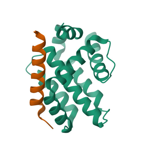 Structure 21CP