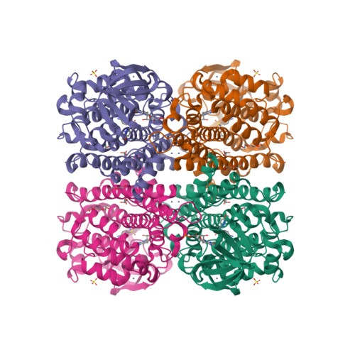 Structure 21CV