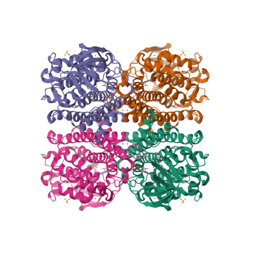 Structure 21DW