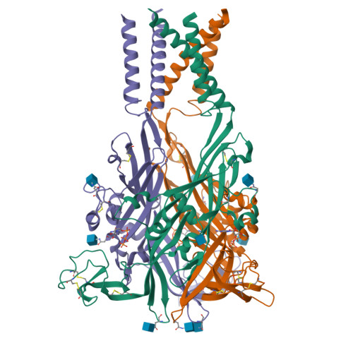 RCSB PDB - 21DX: Cryo-EM structure of the human P2X3 receptor in
