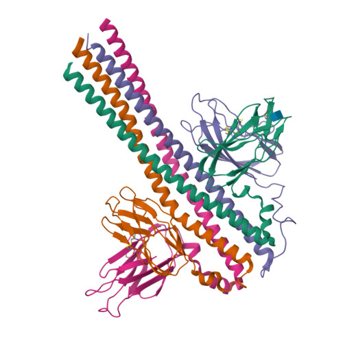Structure 21GL