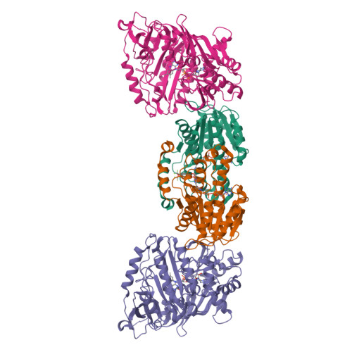 Structure 21GR