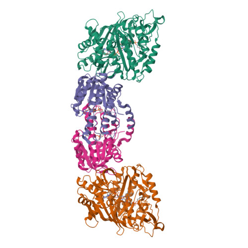 Structure 21GT