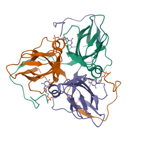 Structure 21HI