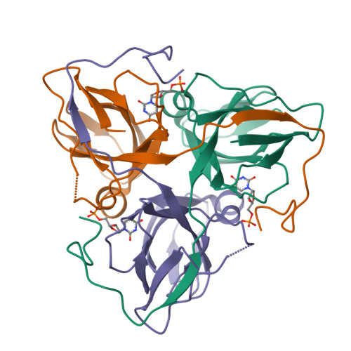 Structure 21HL