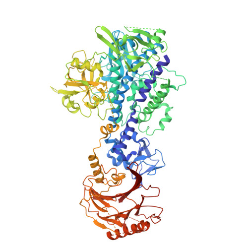 Structure 21IM