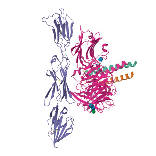 Structure 21IR