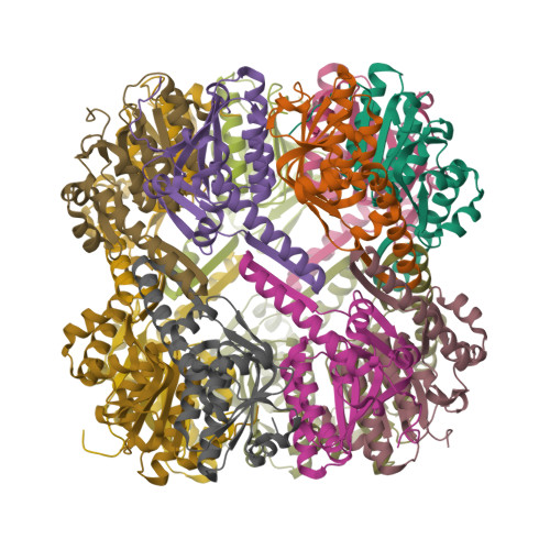 Structure 21KU