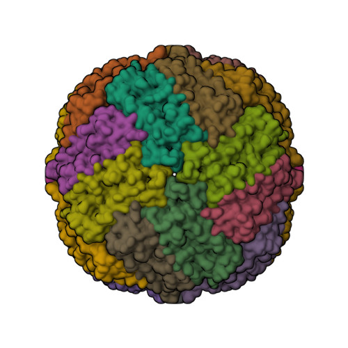 Structure 21LP