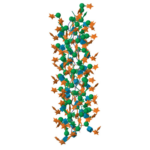 Structure 21NT