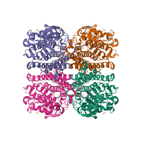 Structure 21OB