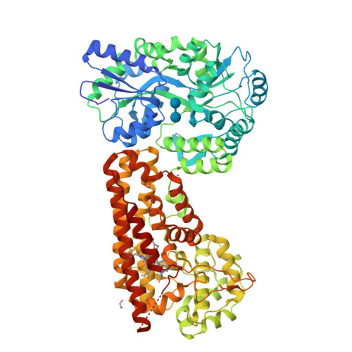 RCSB PDB - 21OO: Crystal structure of the indoleamine 2,3-dioxygenagse ...