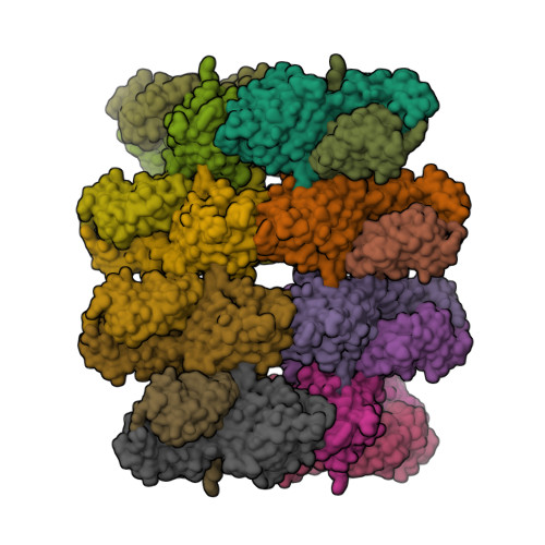Structure 21RH