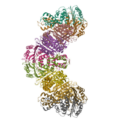 Structure 21RJ