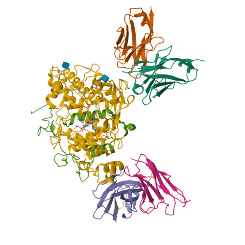Structure 21RN