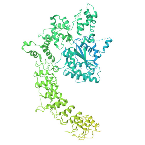 Structure 21RZ