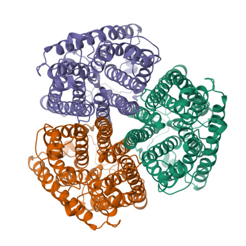 Structure 21SD
