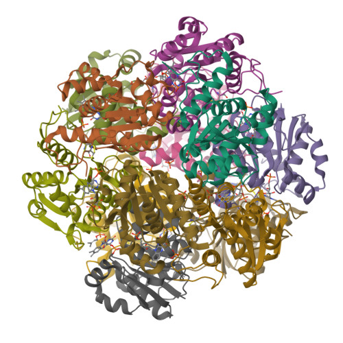 Structure 21TS