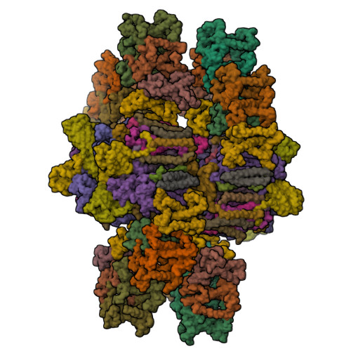 RCSB PDB - 21WH: In situ structure of the trans-stromal PSII-LHCII ...