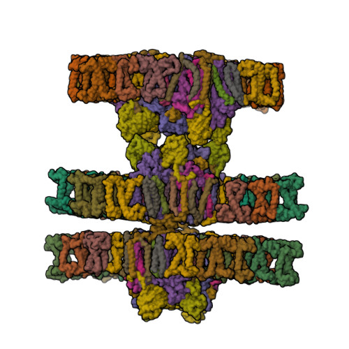 Structure 21WI