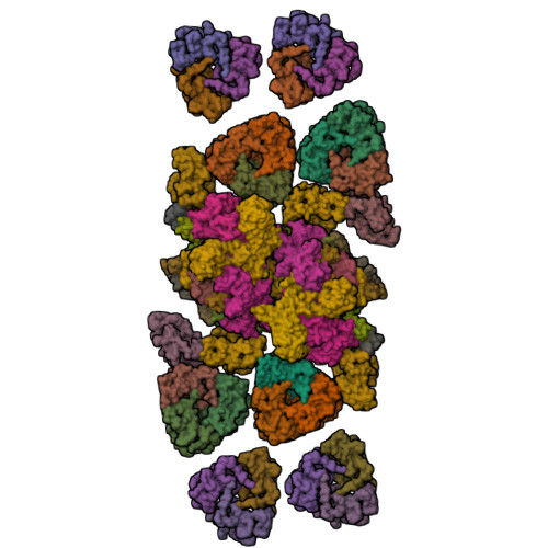 Structure 21WV