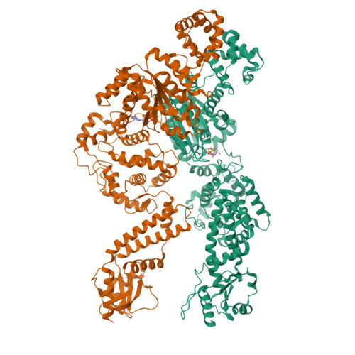 Structure 21XN