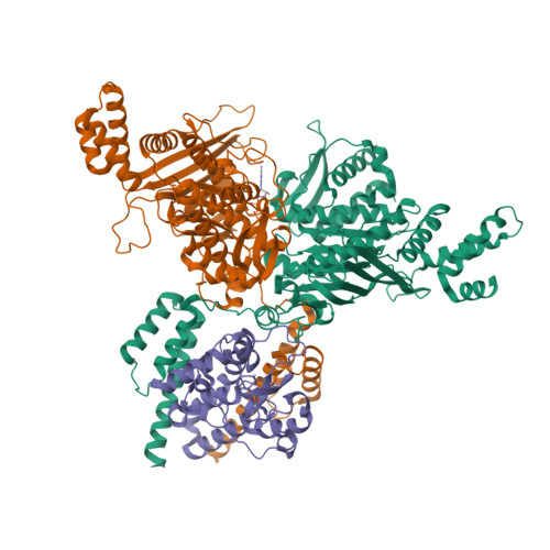 Structure 22BU
