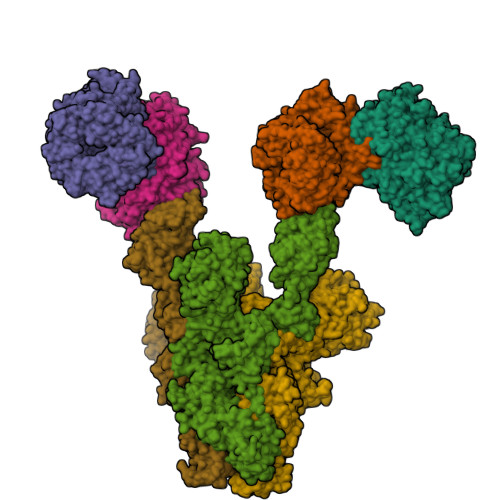 Structure 22DY