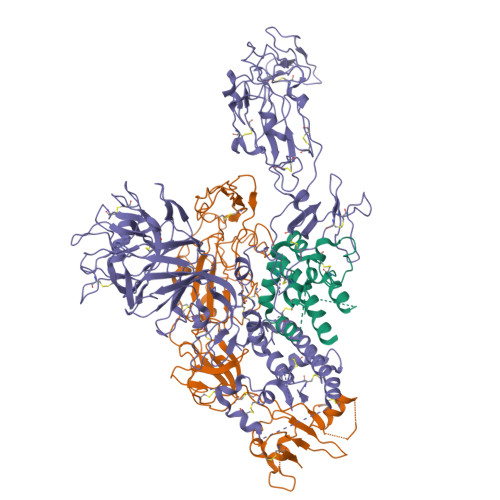 Structure 22DZ