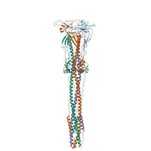 Structure 22EC