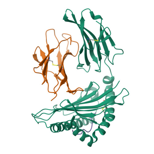 Structure 22EE