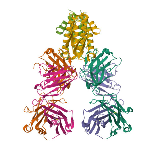 Structure 22LL