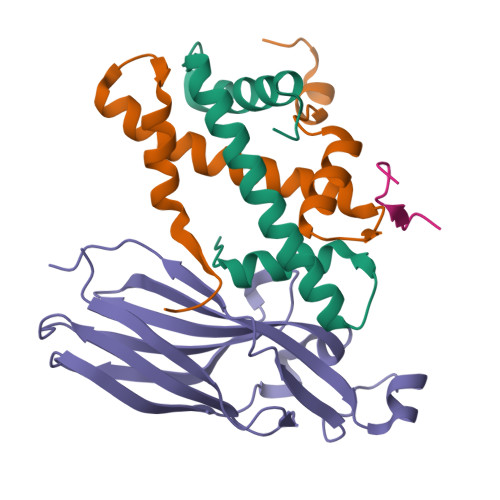Structure 22PC