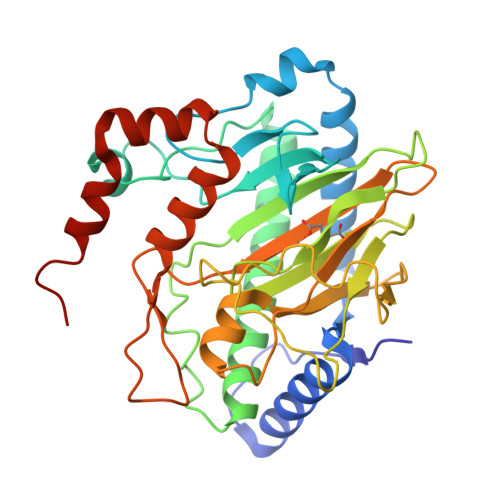 Structure 22PE